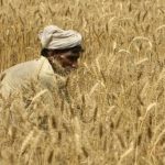 Punjab CM makes major announcement for farmers